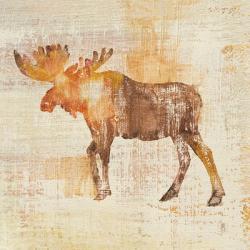 Moose Study | Obraz na stenu