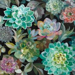 Floral Succulents v2 Crop | Obraz na stenu