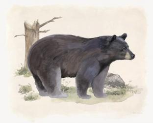 Wilderness Collection Bear | Obraz na stenu