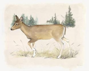 Wilderness Collection Deer | Obraz na stenu