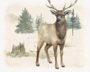 Wilderness Collection Elk | Obraz na stenu