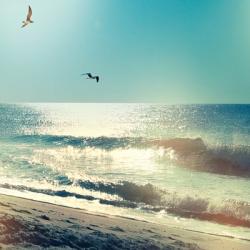 Coastline Waves no Word | Obraz na stenu