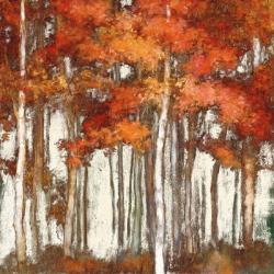 October Woods Light | Obraz na stenu