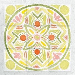 Citrus Tile III | Obraz na stenu