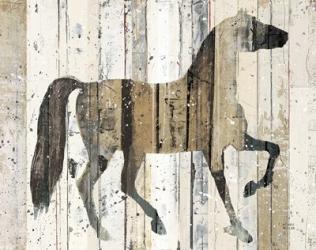 Dark Horse v2 | Obraz na stenu