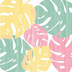 Monstera I Bright on White | Obraz na stenu