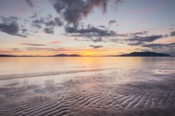 Samish Bay Sunset II | Obraz na stenu