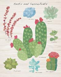 Succulent and Cacti Chart IV on Wood | Obraz na stenu