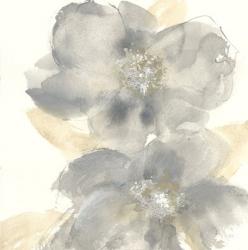 Floral Gray II | Obraz na stenu