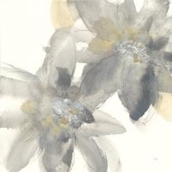 Gray and Silver Flowers II | Obraz na stenu