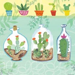 Cacti Garden I no Birds and Butterflies | Obraz na stenu