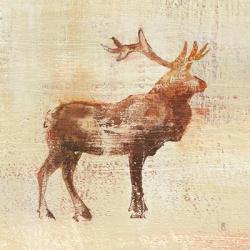 Elk Study v2 | Obraz na stenu