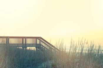 Boardwalk to the Beach | Obraz na stenu