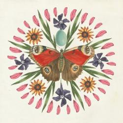 Butterfly Mandala II | Obraz na stenu