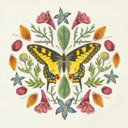Butterfly Mandala III | Obraz na stenu