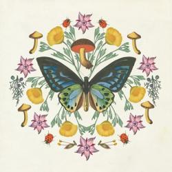 Butterfly Mandala IV | Obraz na stenu