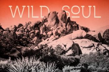 Ombre Adventure II Wild Soul | Obraz na stenu