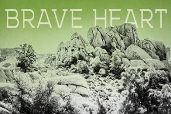 Ombre Adventure V Brave Heart | Obraz na stenu