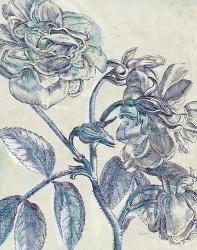 Belle Fleur I Crop | Obraz na stenu