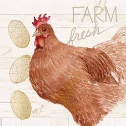 Life on the Farm Chicken II | Obraz na stenu