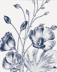 Botanical Beauty Chalk IX Blue on White Crop | Obraz na stenu