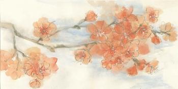 Peach Blossom III | Obraz na stenu