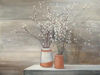 Pussy Willow Still Life | Obraz na stenu