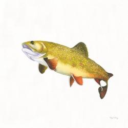 Gone Fishin Brookie | Obraz na stenu