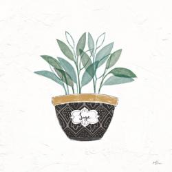 Fine Herbs VII | Obraz na stenu