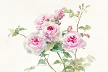 Sweet Roses on White Green | Obraz na stenu