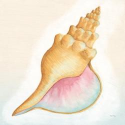 Boardwalk Conch | Obraz na stenu