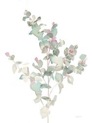 Eucalyptus II White | Obraz na stenu