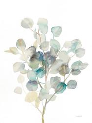 Eucalyptus III White | Obraz na stenu