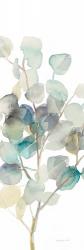 Eucalyptus III White Crop | Obraz na stenu