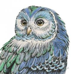Beautiful Owls I Peacock Crop | Obraz na stenu