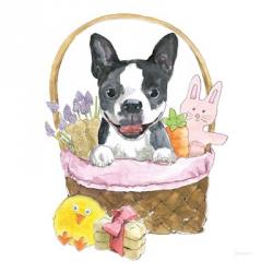 Easter Pups VII | Obraz na stenu