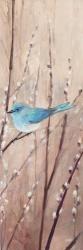Pretty Birds | Obraz na stenu