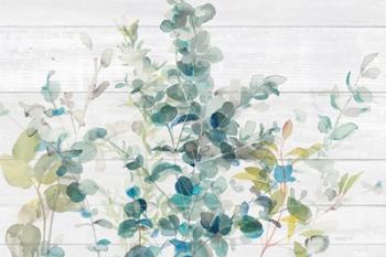 Eucalyptus I on Shiplap Crop | Obraz na stenu