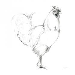 Rooster II Dark Square | Obraz na stenu