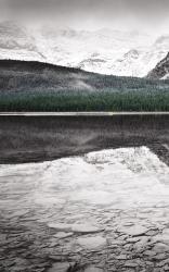 Waterfowl Lake Panel I BW with Color | Obraz na stenu