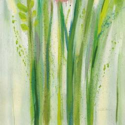 Longstem Bouquet II Square III | Obraz na stenu