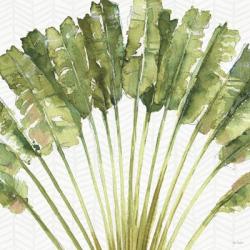 Mixed Greens VIII | Obraz na stenu
