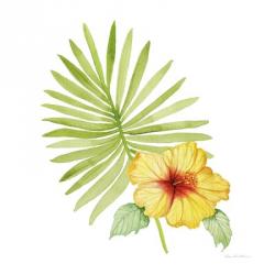 Treasures of the Tropics XI | Obraz na stenu