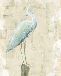 Coastal Egret I v2 no Aqua | Obraz na stenu