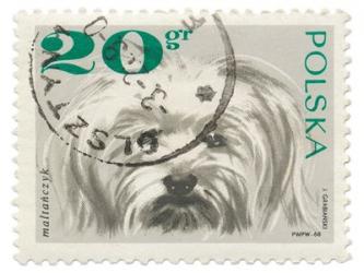 Poland Stamp II on White | Obraz na stenu