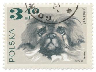 Poland Stamp III on White | Obraz na stenu