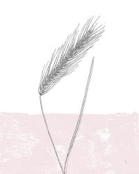 Rye | Obraz na stenu