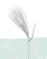 Barley | Obraz na stenu