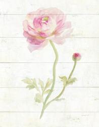 June Blooms I | Obraz na stenu