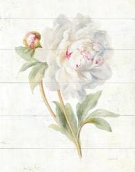 June Blooms II | Obraz na stenu